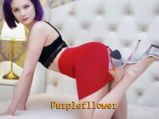 Purplefllower Sexcam Portal