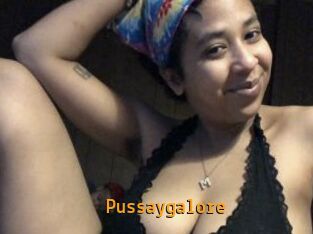 Pussaygalore