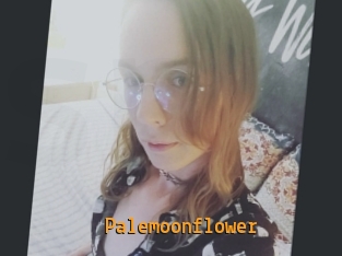 Palemoonflower