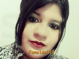 Pamelasuite