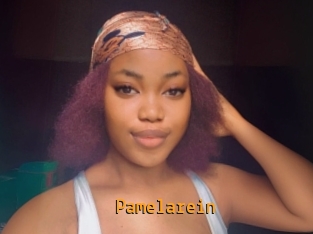 Pamelarein