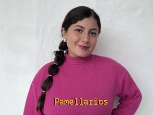 pamellarios Sexcam Portal