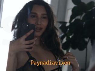 Paynadiavixen