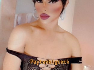 paytonbigcock Sexcam Portal