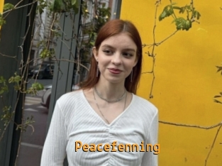 Peacefenning