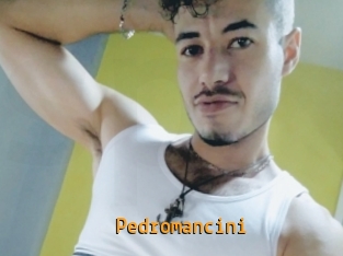 Pedromancini