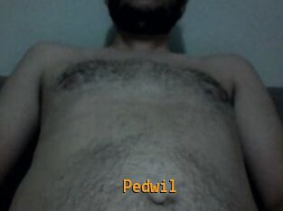 Pedwil