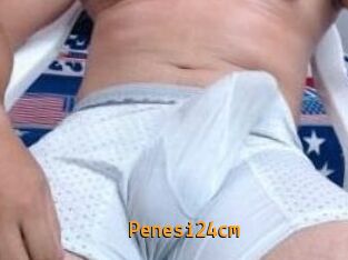 Penesi24cm
