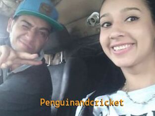 Penguinandcricket