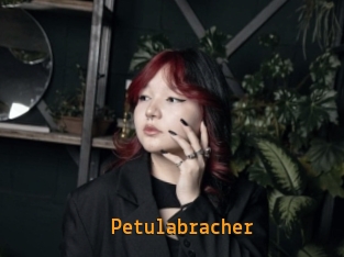 Petulabracher