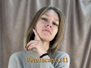 petulacantrill Sexcam Portal
