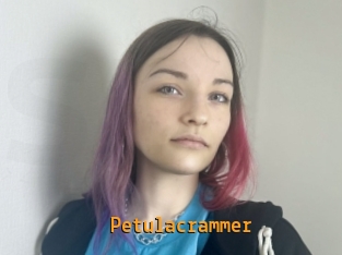 Petulacrammer
