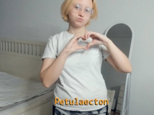 Petulaecton
