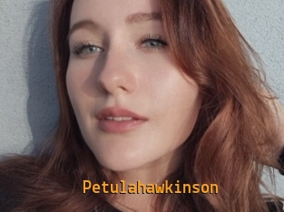 Petulahawkinson
