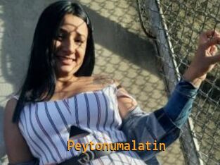 Peytonumalatin