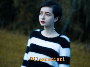 Pileacadieri