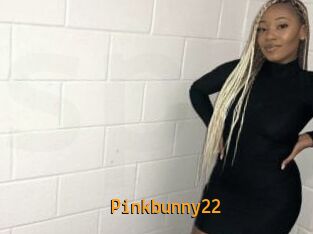 Pinkbunny22