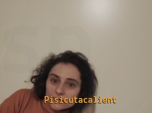 Pisicutacalient