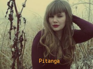Pitanga