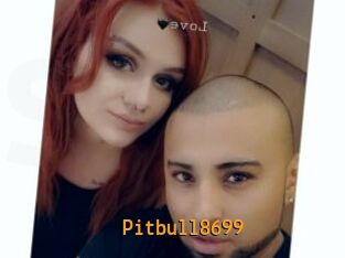 Pitbull8699