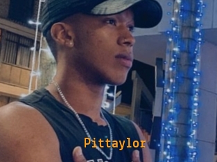 pittaylor Sexcam Portal