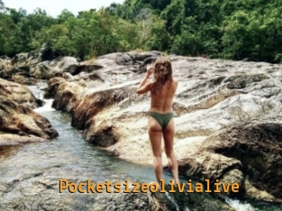Pocketsizeolivialive