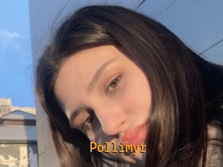 Pollimyr