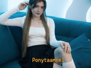 Ponytaamnel