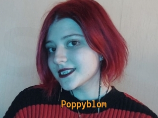 Poppyblom