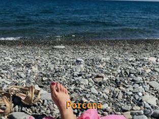 Porcona
