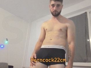 Porncock22cm