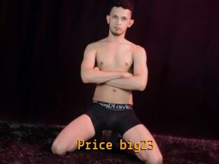 Price_big23