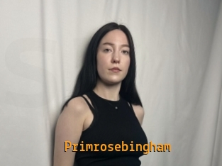 Primrosebingham