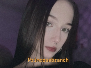 Primrosebranch