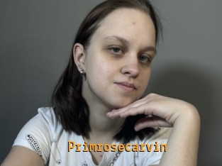Primrosecarvin
