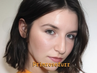 Primrosefurr