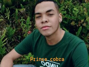 Prince_cobra