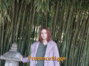 Prudencefigge