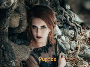 Pupfox