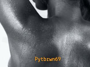 Pytbrwn69