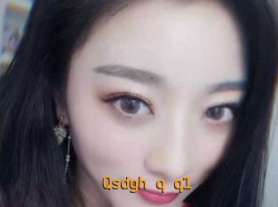 Qsdgh_q_q1
