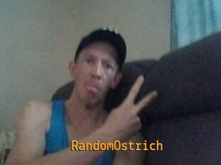 RandomOstrich Sexcam Portal