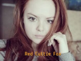 Red_Cuttie_Fox