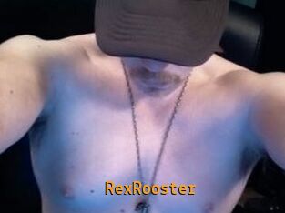 RexRooster Sexcam Portal