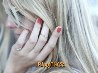 RiggINASS