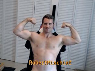 RobertMischief