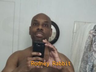 Rodney_Rabbit
