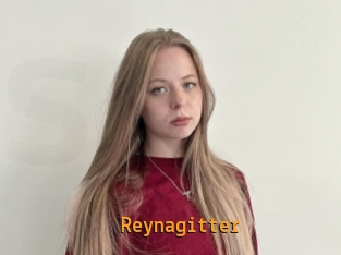 Reynagitter