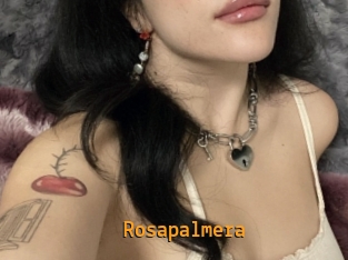 Rosapalmera