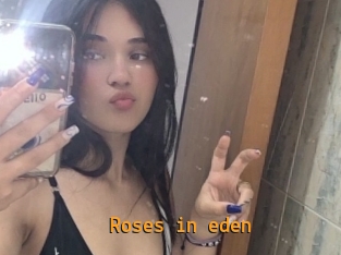 Roses_in_eden